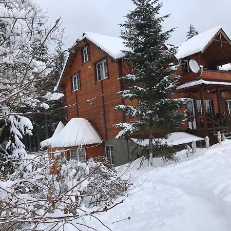 Cottage 12 Months Vorokhta Exterior foto