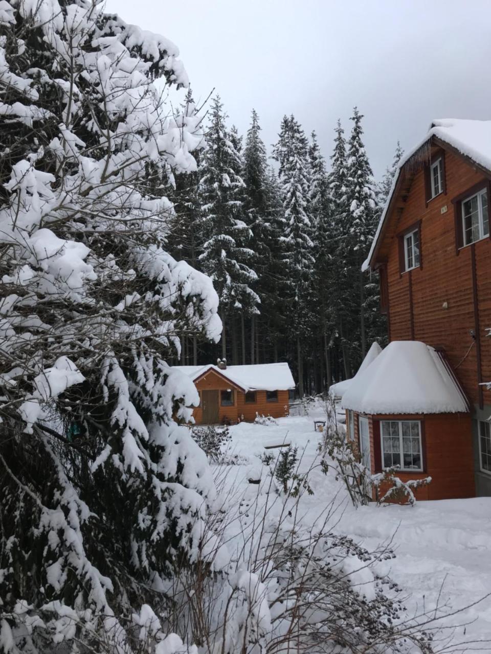 Cottage 12 Months Vorokhta Exterior foto